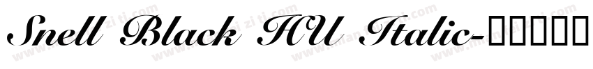 Snell Black HU Italic字体转换